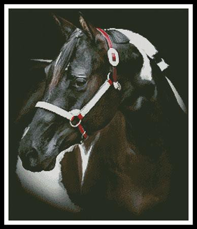 Beauty In The Shadows - #12522-Ms / Artecy Cross Stitch