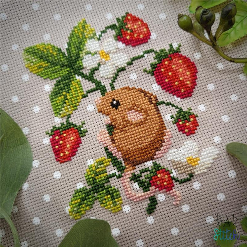 Strawberry Season / Bad Stitch