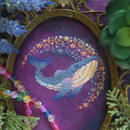 Candypop Splash / Bad Stitch