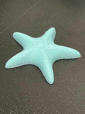 Starfish Needle Minder / Barefoot Needleart, LLC