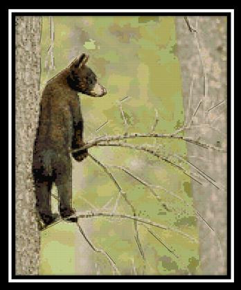 Hey! Over Here! / Cody Country Crossstitch & Crafts