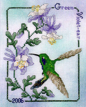 Green Violet - Ear Hummingbird 26 / Crossed Wing Collection