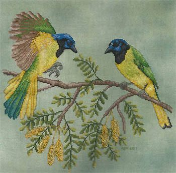 Green Jays / Crossed Wing Collection