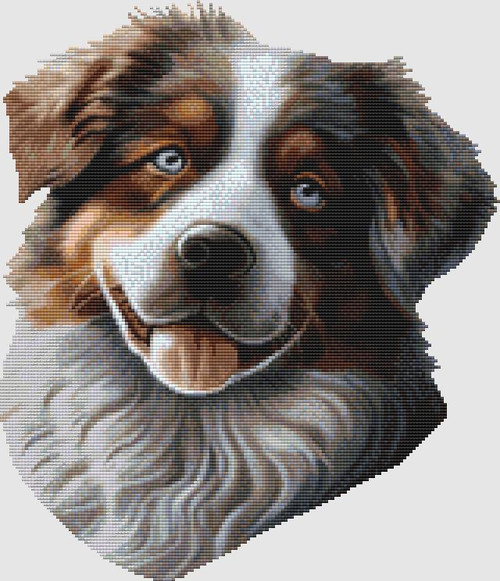 Australian Shepherd - Portrait / Dogshoppe Designs
