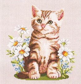 Summer Kitten / Ellen Maurer-Stroh