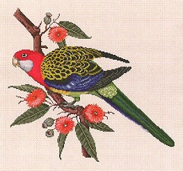Rosella / Ellen Maurer-Stroh