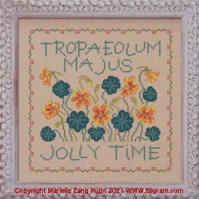 Tropaleum Majus / Filigram