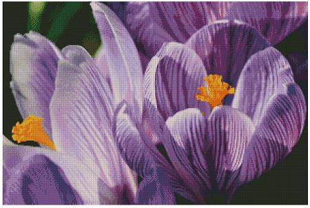 Crocuses / Fox Trails Needlework