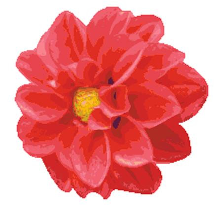 Dahlia / Fox Trails Needlework