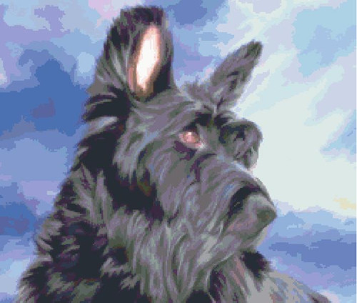 Max / Fox Trails Needlework