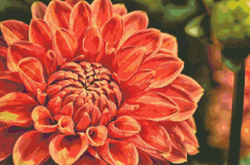 Dahlia In Orange And Coral / Fox Trails Needlework
