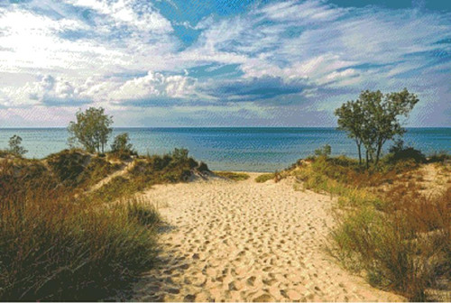 Indiana Dunes State Park / Fox Trails Needlework