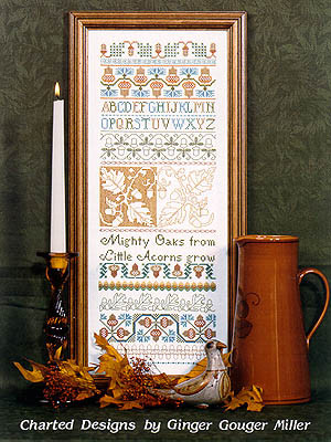 Acorn Band Sampler / Ginger & Spice
