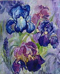 Iris - QS / Heaven And Earth Designs