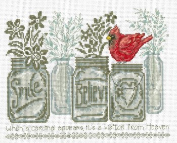 Believe Cardinal / Imaginating