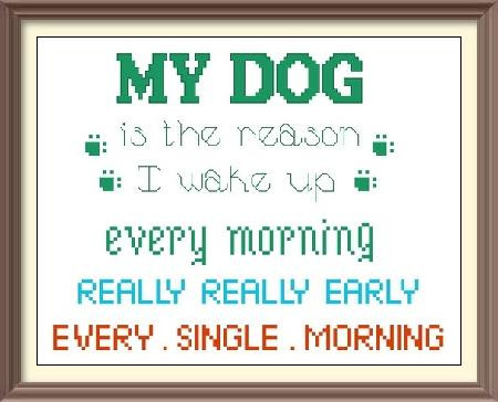The Reason I Wake Up Early / Iris Originals