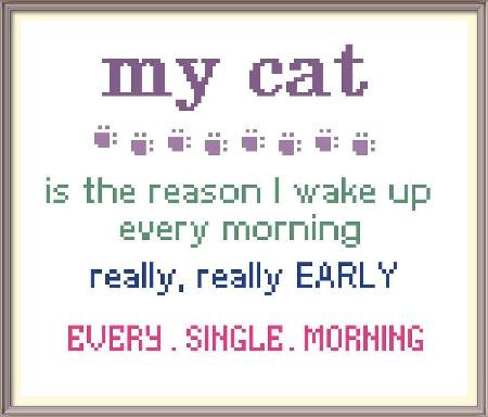 My Cat.... Wakes Me Early / Iris Originals