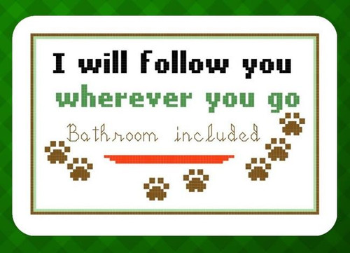 I Will Follow You / Iris Originals