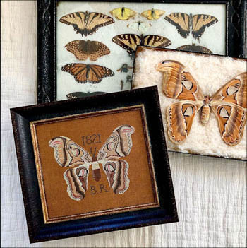 B.R.'s Moth / Kathy Barrick