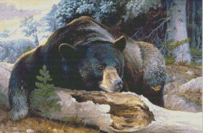 Black Bear Country / Kustom Krafts