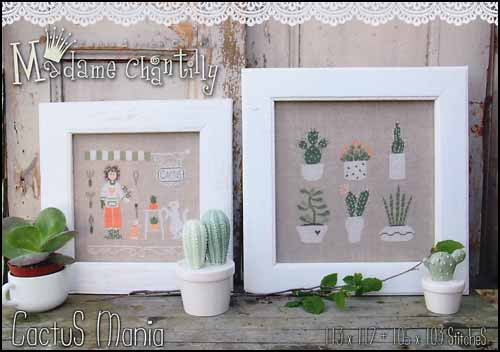 Cactus Mania / Madame Chantilly