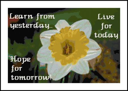 Daffodil And Life Sampler / Mary Gaines Designs