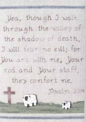 Psalm 23 / My Big Toe