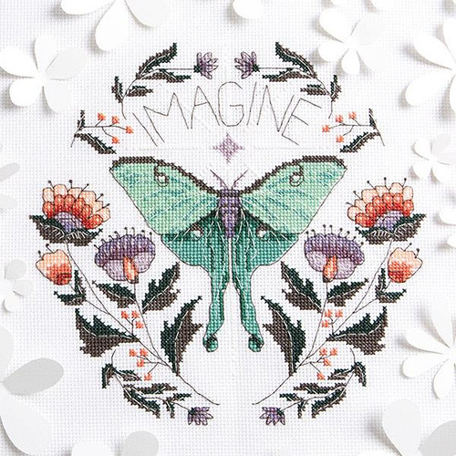 Imagine / Peacock & Fig