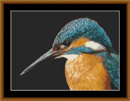 Kingfisher Portrait / Rowland Cole's Images Of Nature