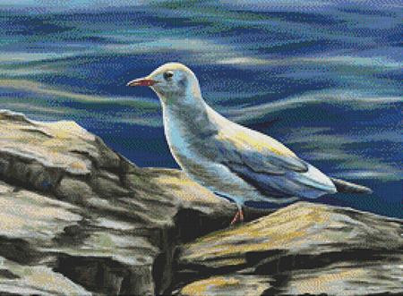 Seagull Cross Stitch Pattern / Stitchx Craft Designs