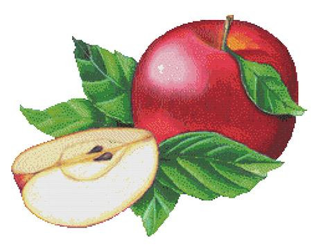Apples Cross Stitch Pattern / Stitchx Craft Designs