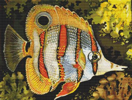 Butterfly Fish Cross Stitch Pattern / Stitchx Craft Designs