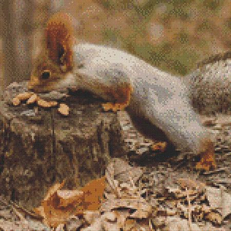 Red Squirrel Cross Stitch Pattern / Stitchx Craft Designs