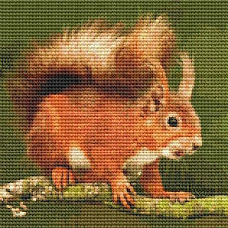 Bushy-Tailed Squirrel Cross Stitch Pattern / Stitchx Craft Designs