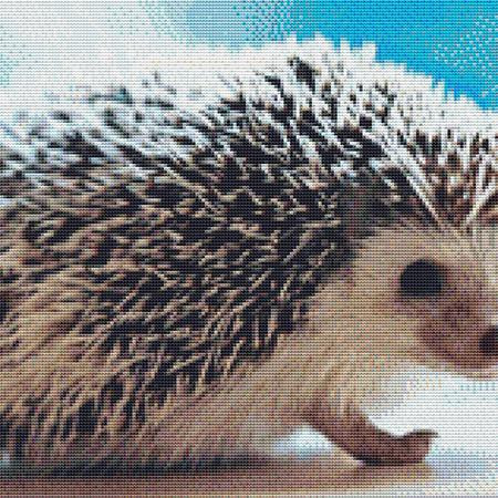 Hedgehog Cross Stitch Pattern / Stitchx Craft Designs