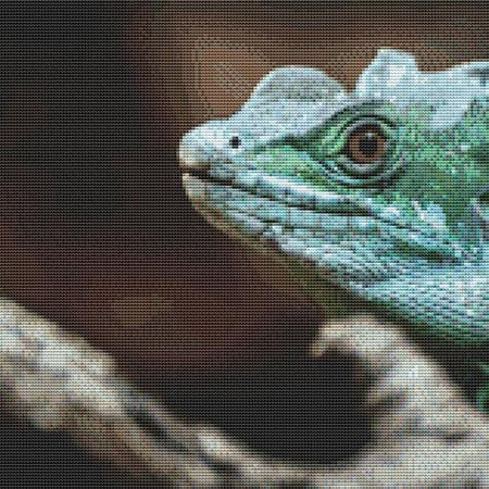Green Lizard Cross Stitch Pattern / Stitchx Craft Designs