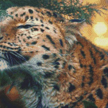 Leopard Close-Up Cross Stitch Pattern / Stitchx Craft Designs