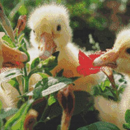 Cute Ducklings Cross Stitch Pattern / Stitchx Craft Designs