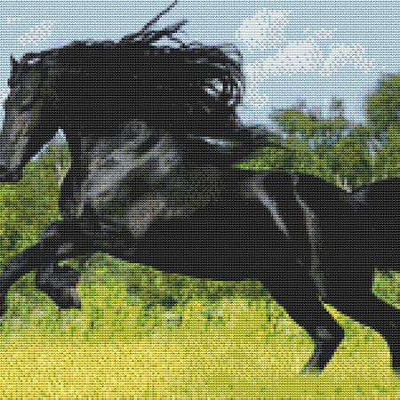 Majestic Black Stallion Cross Stitch Pattern / Stitchx Craft Designs