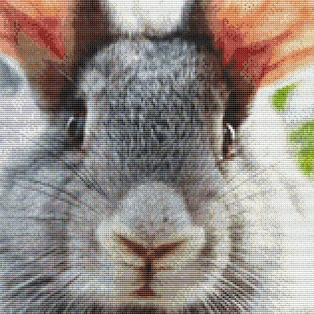 Gray Rabbit Close-Up Cross Stitch Pattern / Stitchx Craft Designs