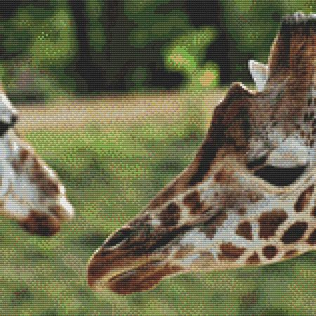 Pair Of Giraffes Cross Stitch Pattern / Stitchx Craft Designs