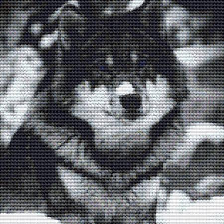 Cute Snow Wolf Cross Stitch Pattern / Stitchx Craft Designs