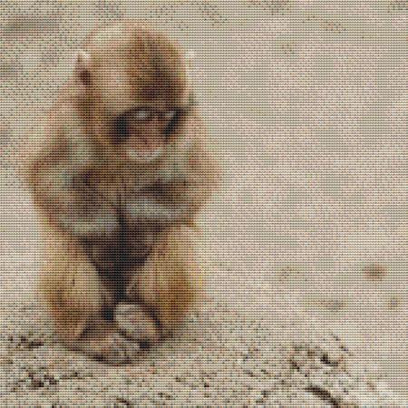 Cute Baby Monkey Cross Stitch Pattern / Stitchx Craft Designs