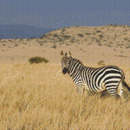 Savannah Zebra Cross Stitch Pattern / Stitchx Craft Designs