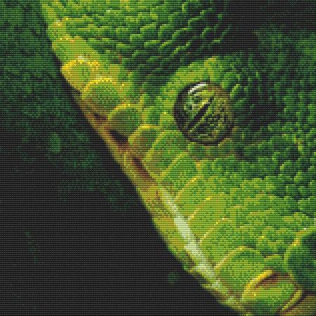 Green Snake Closeup Cross Stitch Pattern / Stitchx Craft Designs