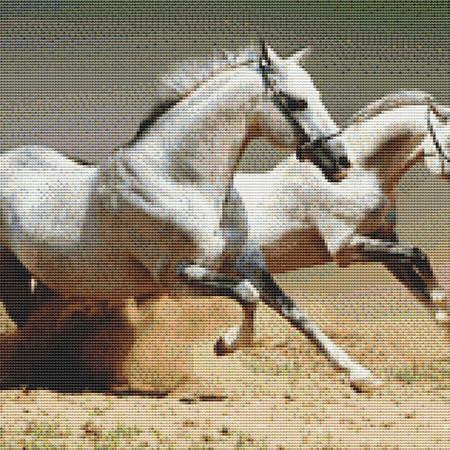 Two White Stallions Cross Stitch Pattern / Stitchx Craft Designs