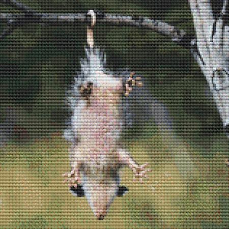 Dangling Opossum Cross Stitch Pattern / Stitchx Craft Designs