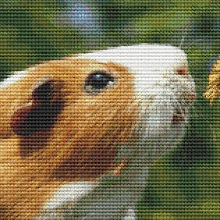 Feeding Guinea Pig Cross Stitch Pattern / Stitchx Craft Designs