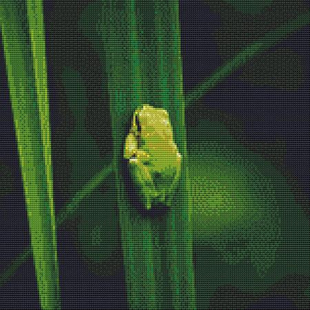 Tiny Green Frog Cross Stitch Pattern / Stitchx Craft Designs