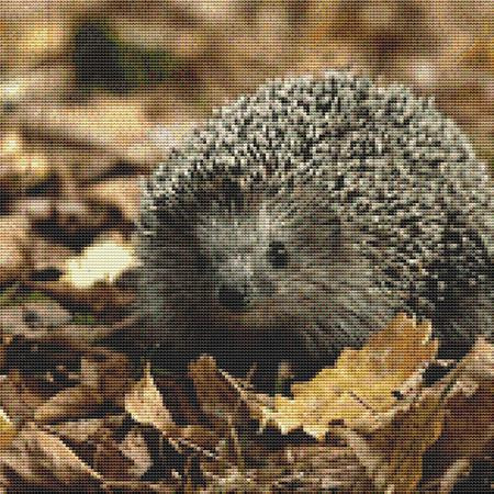 Grey Hedgehog Cross Stitch Pattern / Stitchx Craft Designs